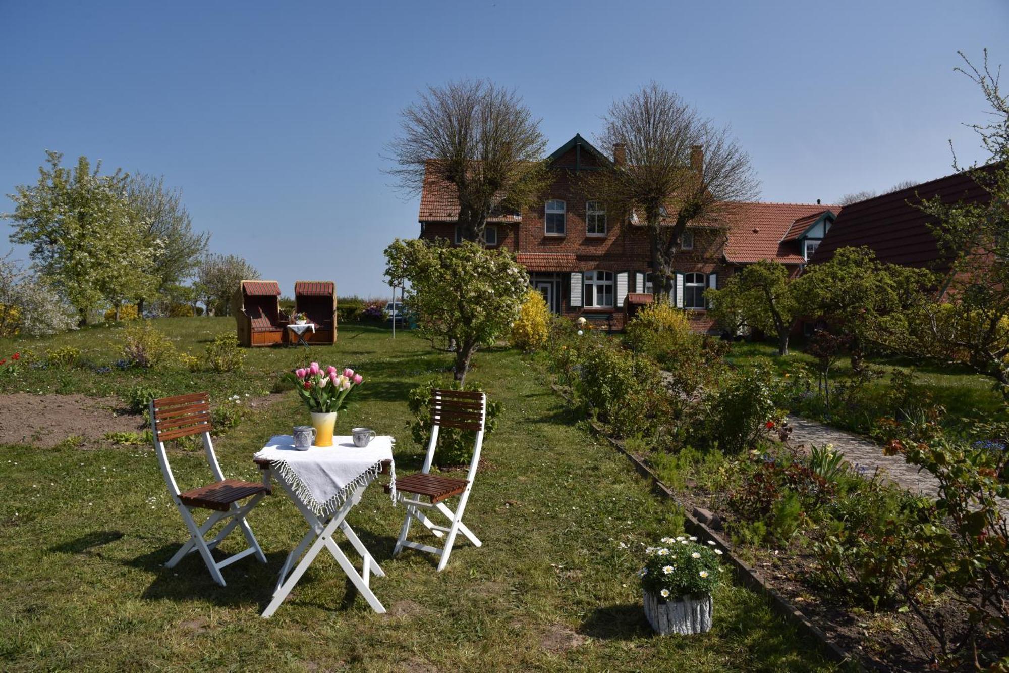 Hotel/Pension Bradhering Ahrenshoop Exteriér fotografie